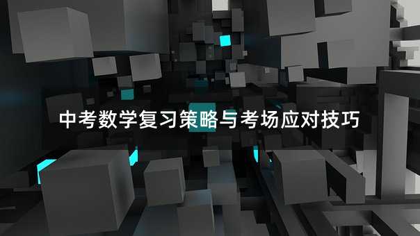 中考數(shù)學(xué)復(fù)習(xí)策略與考場應(yīng)對技巧