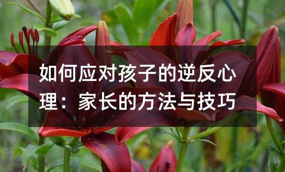 如何應對孩子的逆反心理:家長的方法與技巧