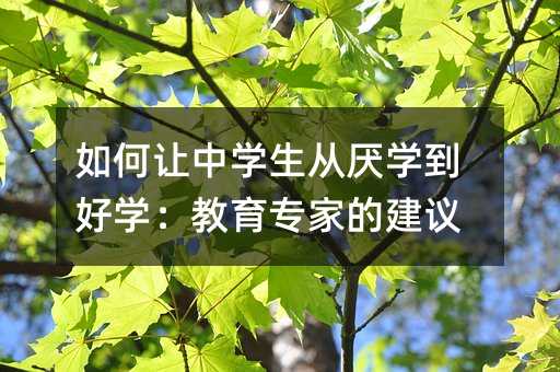 如何讓中學(xué)生從厭學(xué)到好學(xué):教育專家的建議