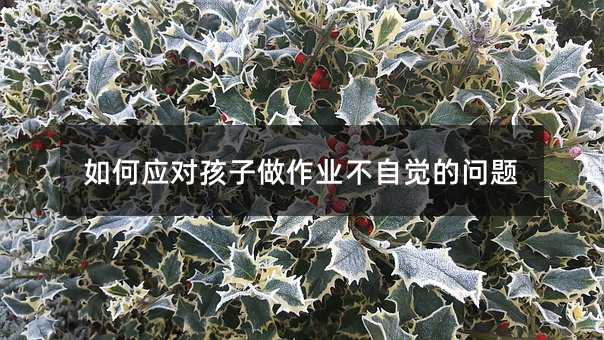 如何應對孩子做作業不自覺的問題