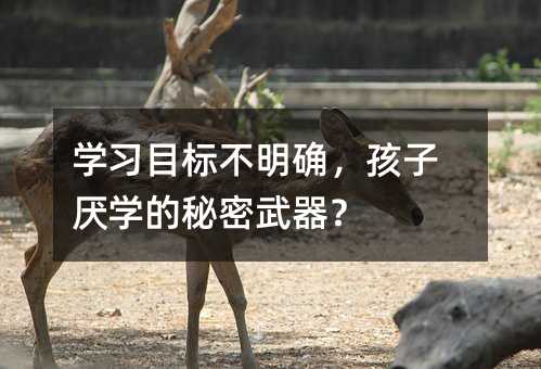 W(xu)(x)Ŀ(bio)_ӅW(xu)