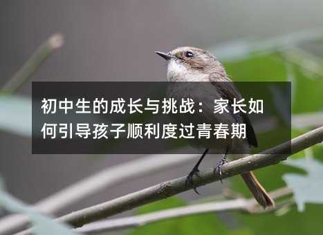 初中生的成長與挑戰:家長如何引導孩子順利度過青春期