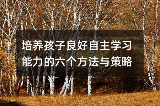 培養(yǎng)孩子良好自主學(xué)習(xí)能力的六個(gè)方法與策略