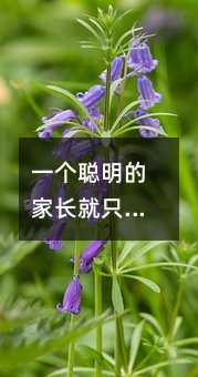 一個聰明的家長就只教給孩子八件事