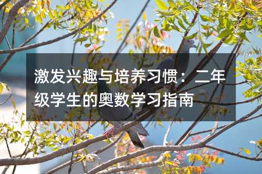 激發(fā)興趣與培養(yǎng)習(xí)慣:二年級學(xué)生的奧數(shù)學(xué)習(xí)指南