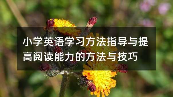 С�W(xu��)Ӣ�Z�W(xu��)��(x��)����ָ��(d��o)�c�����x�����ķ����c����