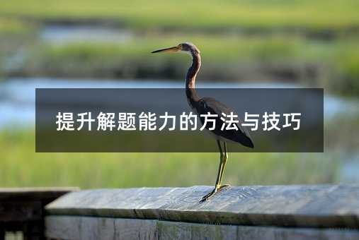 提升解題能力的方法與技巧