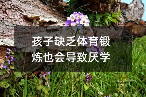 ����ȱ���w��呟�Ҳ�������W