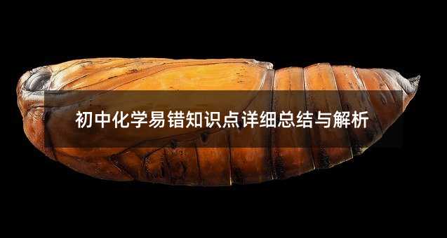 初中化學易錯知識點詳細總結與解析