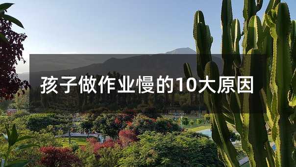 孩子做作業慢的10大原因