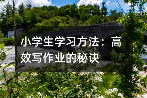 小學生學習方法:高效寫作業的秘訣