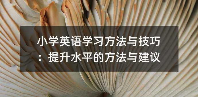 小學英語學習方法與技巧:提升水平的方法與建議