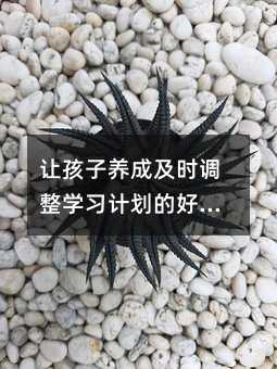 ׌B(yng)ɼr(sh){(dio)W(xu)(x)Ӌ(j)ĺ(x)T