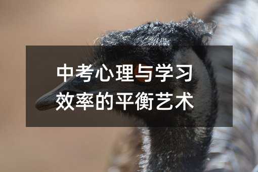 �п������c�W��Ч�ʵ�ƽ��ˇ�g