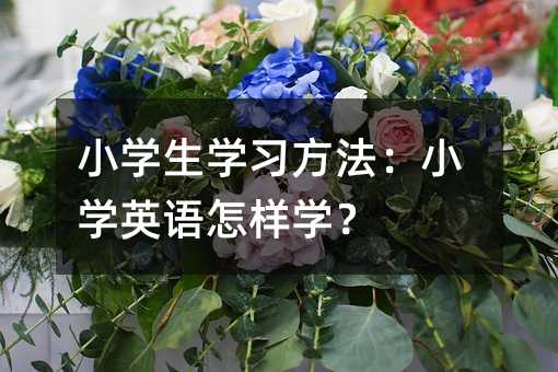 小學(xué)生學(xué)習(xí)方法:小學(xué)英語怎樣學(xué)?
