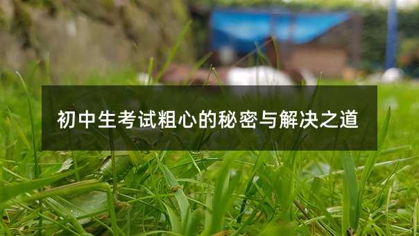 初中生考試粗心的秘密與解決之道