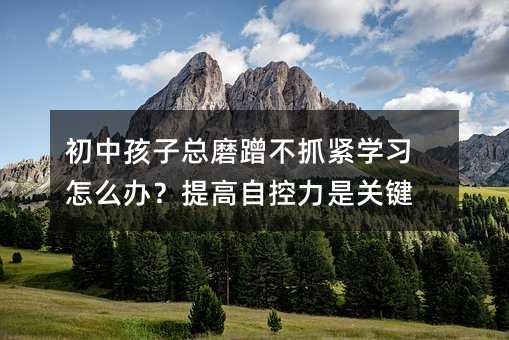 初中孩子總磨蹭不抓緊學習怎么辦?提高自控力是關鍵