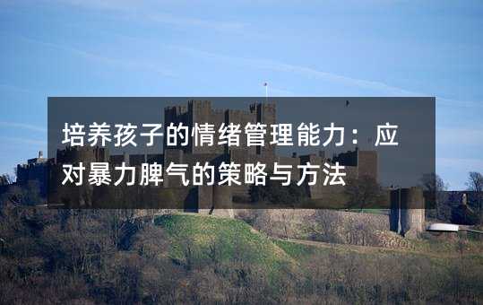 培養(yǎng)孩子的情緒管理能力:應對暴力脾氣的策略與方法