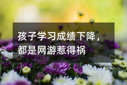 孩子學(xué)習(xí)成績下降,都是網(wǎng)游惹得禍