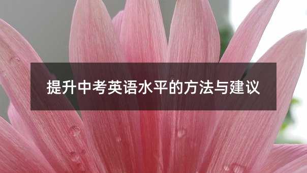 �����п�Ӣ�Zˮƽ�ķ����c���h