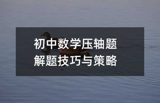 初中數(shù)學(xué)壓軸題解題技巧與策略