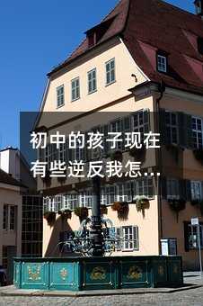 初中的孩子現(xiàn)在有些逆反我怎么辦呢