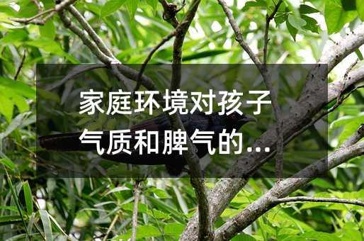 家庭環境對孩子氣質和脾氣的影響