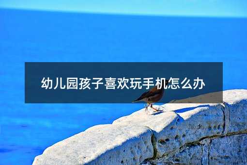 幼兒園孩子喜歡玩手機(jī)怎么辦