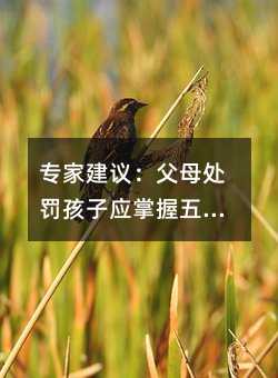 專家建議:父母處罰孩子應(yīng)掌握五大訣竅