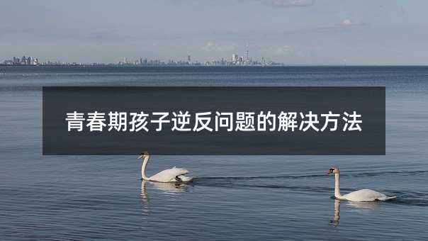 青春期孩子逆反問題的解決方法