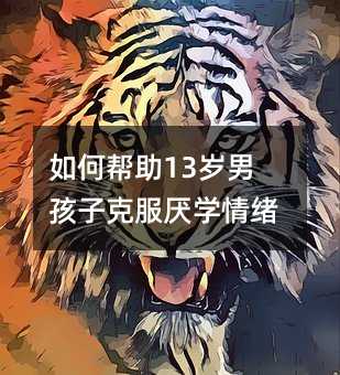 如何幫助13歲男孩子克服厭學情緒