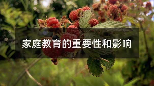 ��ͥ��������Ҫ�Ժ�Ӱ�