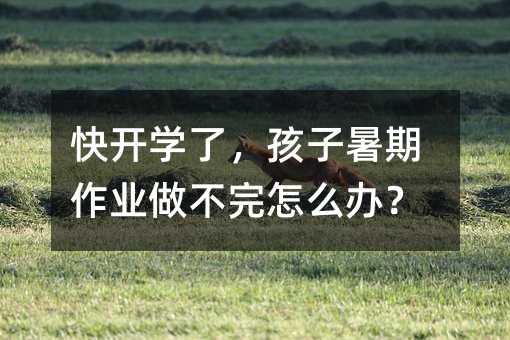 快開學了,孩子暑期作業(yè)做不完怎么辦?