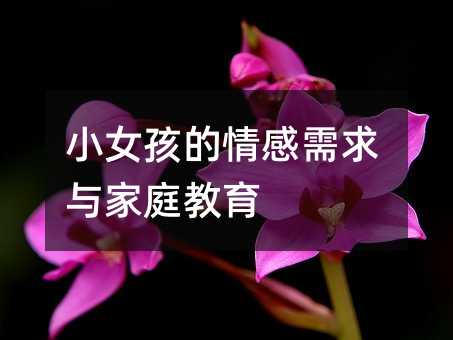 小女孩的情感需求與家庭教育
