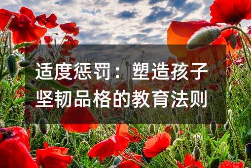 �m�ȑ��P�����캢�ӈ��gƷ��Ľ������t