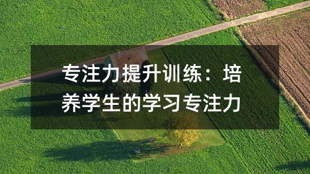 專注力提升訓(xùn)練:培養(yǎng)學(xué)生的學(xué)習(xí)專注力