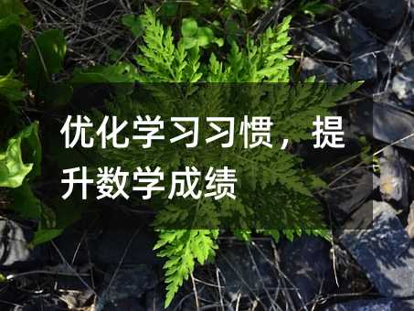 優(yōu)化學(xué)習(xí)習(xí)慣,提升數(shù)學(xué)成績