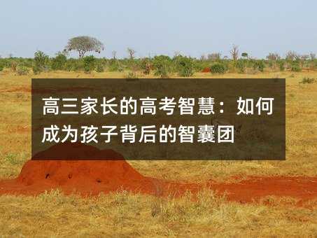 高三家長的高考智慧:如何成為孩子背后的智囊團