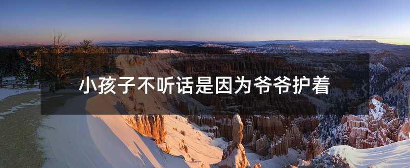小孩子不聽(tīng)話是因?yàn)闋敔斪o(hù)著