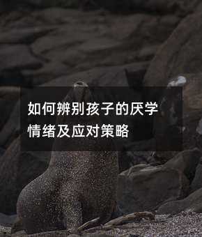 如何辨別孩子的厭學情緒及應對策略