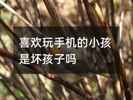 ϲ�g���֙C��С���ǉĺ��ӆ�