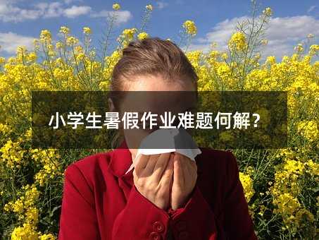 小學生暑假作業(yè)難題何解?