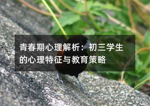 青春期心理解析:初三學生的心理特征與教育策略