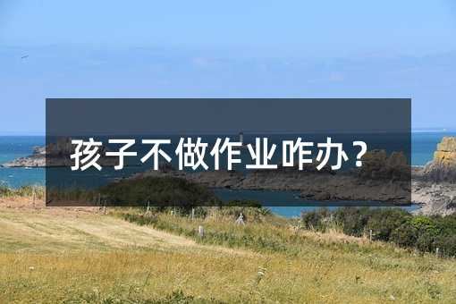 孩子不做作業(yè)咋辦?