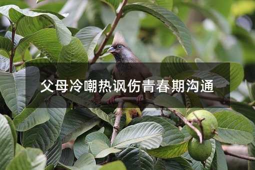 父母冷嘲熱諷傷青春期溝通