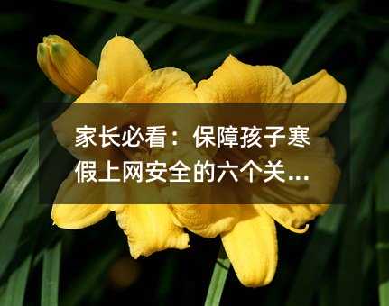 家長必看:保障孩子寒假上網安全的六個關鍵點
