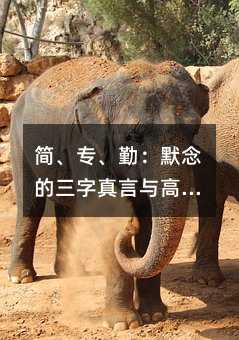 ڣĬc߿ĳɹ֮·