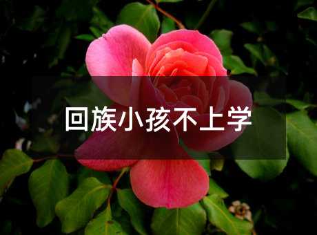 ����С�����όW