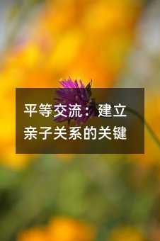 平等交流:建立親子關系的關鍵