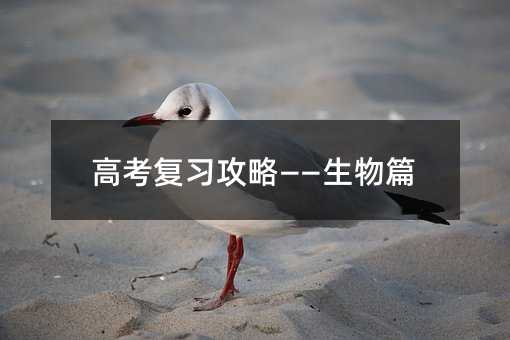 �߿��������ԡ�������ƪ